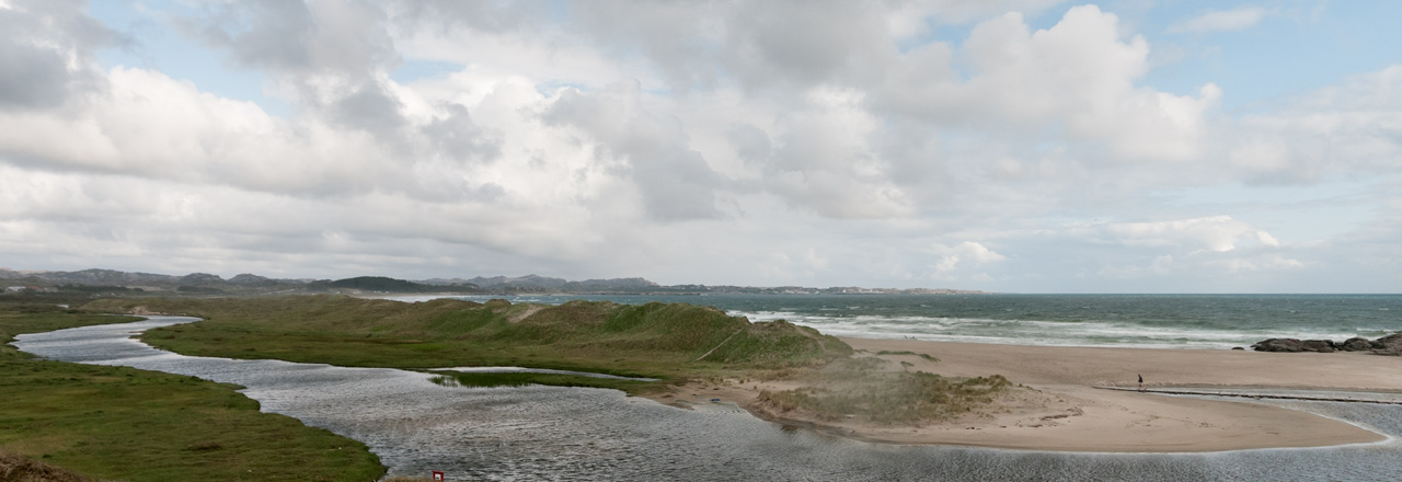 Karmøy purpurmarihånd